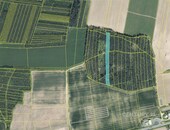 Prodej lesa o celkové výměře 4 433 m2 ve Vránově u Staňkova, cena 299000 CZK / objekt, nabízí 