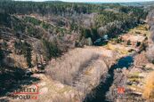 Prodej, pozemky/les, 4109 m2, Plešnice, Plzeň-sever [ID 70657], cena 999000 CZK / objekt, nabízí 