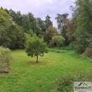 Prodej pozemku v malebné lokalitě u Dolského potoka, cena 1500000 CZK / objekt, nabízí 