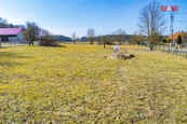 Prodej pozemku k bydlení, 3499 m2, Bor, cena 3000000 CZK / objekt, nabízí