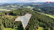 Prodej lesa, 15707 m2, Petrovice u Sušice, cena 1600000 CZK / objekt, nabízí 