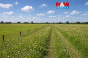 Prodej pastviny, 16129 m2, Třemošná, cena 806450 CZK / objekt, nabízí 